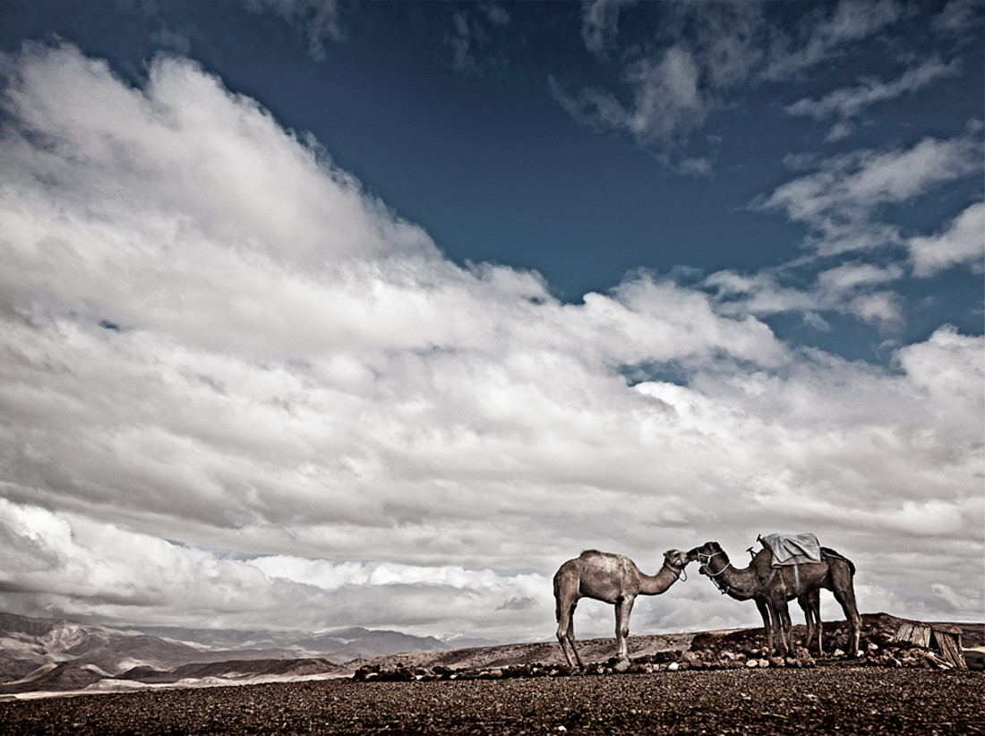 Marruecos-2008-499-2