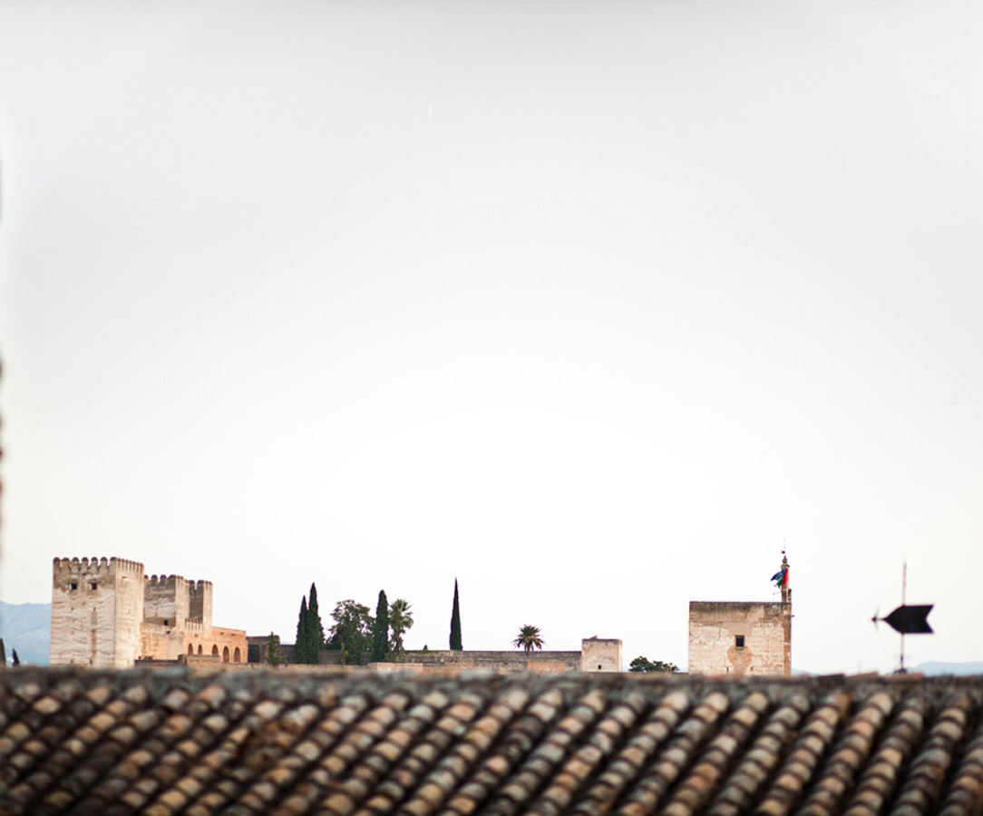 Antonio-y-Paloma-0342