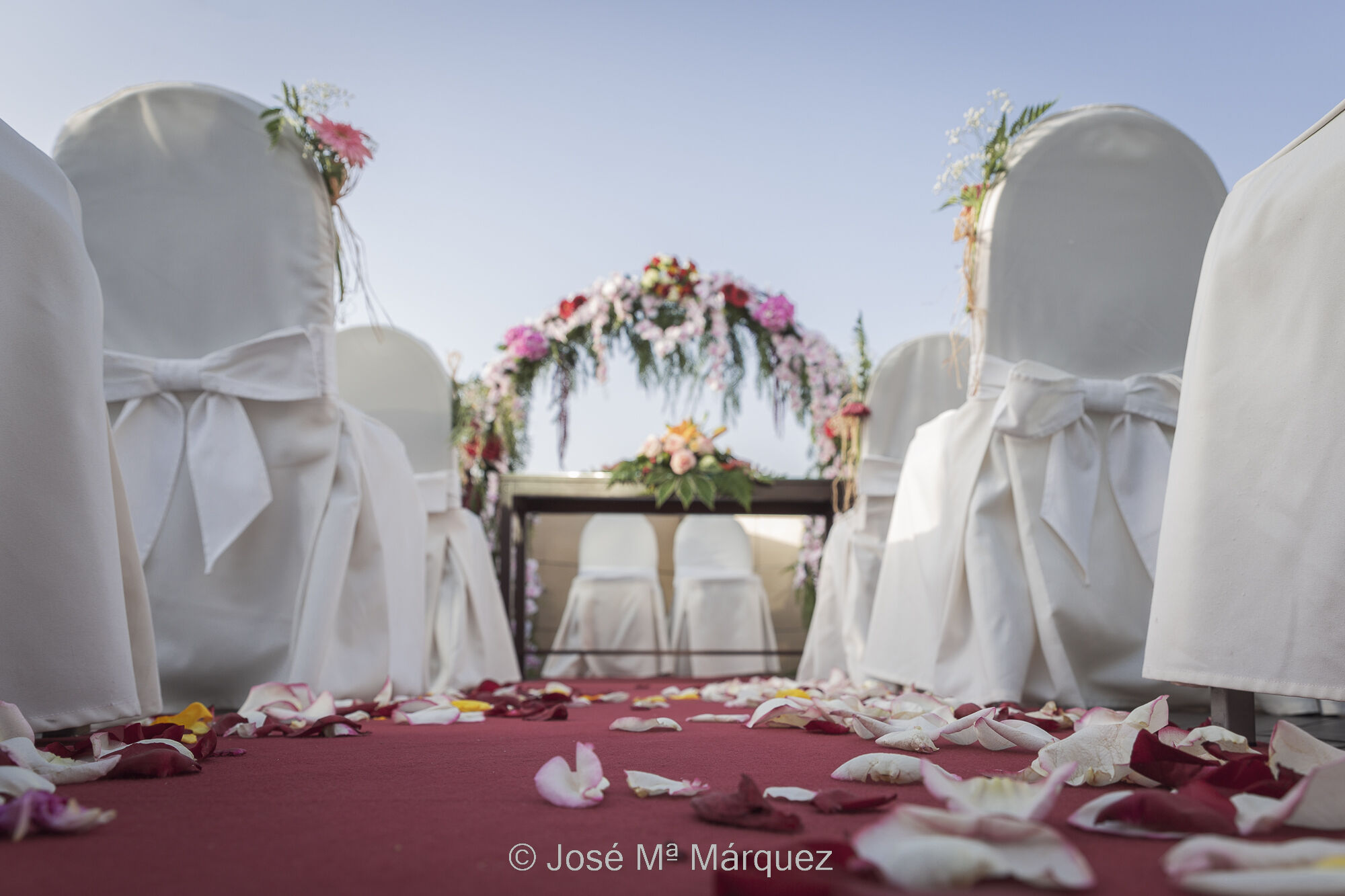 Detalle de cómo se ha preparado la ceremonia de una boda en la terraza de un hotel. Pétalos en el suelo, ramilletes de flores en las sillas vestidas de blanco y al fondo el altar con un centro sobre la mesa y un arco cubierto de flores. Fotografía de un reportaje de boda en Granada. Fotógrafo José María Márquez. La fotografía es una descripción visual con los detalles con que los novios han montado el espacio de la ceremonia de su boda en la terraza de un hotel. Es horizontal y en color, y está tomada a ras de suelo en el pasillo entre los asientos que conducen al altar. Todo el pasillo está cubierto con una alfombra roja y sobre ella cientos de pétalos naturales rojos, amarillos y blancos. Las sillas están vestidas de blanco, con un lazo atrás y con un ramillete de flores cada una de las que dan al pasillo. Al fondo la mesa de los novios tiene un centro floral y detrás tiene un arco cubierto también de flores, todo ello contrastando sobre el cielo azul. Es una foto con un bonito equilibrio cromático. La foto es de un reportaje de bodas realizado por José María Márquez, fotógrafo de Granada.