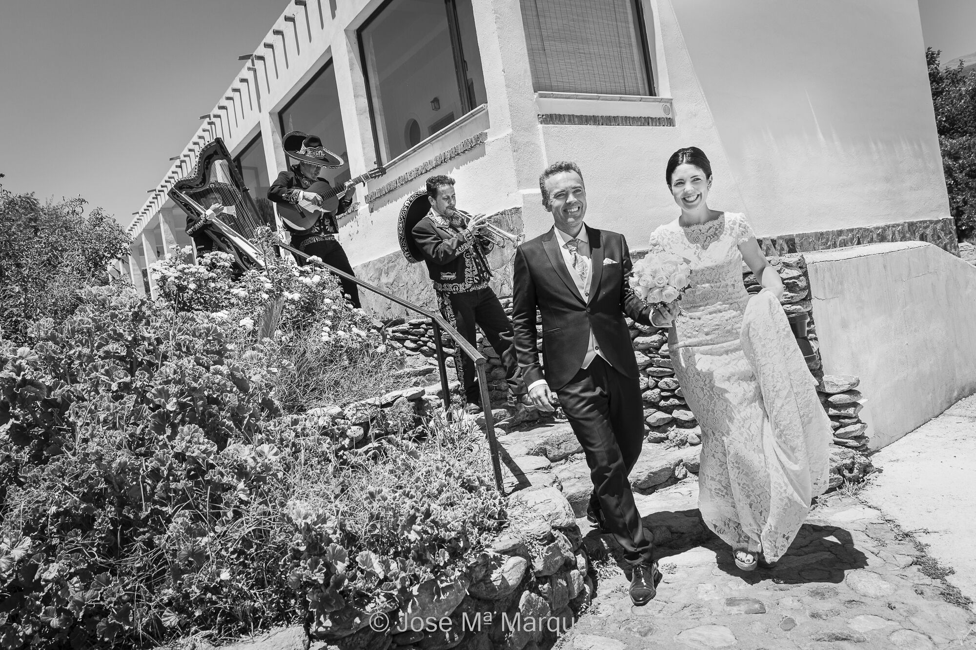 Momento en el que los novios llegan al cóctel seguidos de un trío de mariachis. Instantánea de boda. Ejemplo de documentalismo estético de boda que busca la plasticidad y la expresión real en las instantáneas que detienen procesos de movimiento y/o desplazamiento. Foto de boda de José Mª Márquez. Fotógrafo de Granada. Instantánea horizontal en blanco y negro. Fotografía del un reportaje de boda de estilo fotoperiodístico donde se documenta el momento en que los novios llegan al cóctel. Luz directa de sol de mediodía. La pareja baja por unas escaleras rústicas hechas de piedra y van seguidos por tres mariachis tocando en fila, el primero con trompeta, el segundo con guitarra y el tercero con un arpa. Cada uno de los personas ocupa su propio espacio en la composición y ninguno se solapa con otro. Los novios ya han bajado los escalones y están abajo a la derecha. Los mariachis van en fila situados en la diagonal de la fotografía por detrás. El encuadre se ha girado un poco para hacer coincidir los elementos con esa diagonal y añadir dinamismo a la toma. Los novios sonríen muy alegres, la novia ella con el ramo en una mano y con la otra levantando un poco el vestido para bajar mejor. Fotografía de José Mª Márquez, fotógrafo de Granada (documentalista estético de boda).