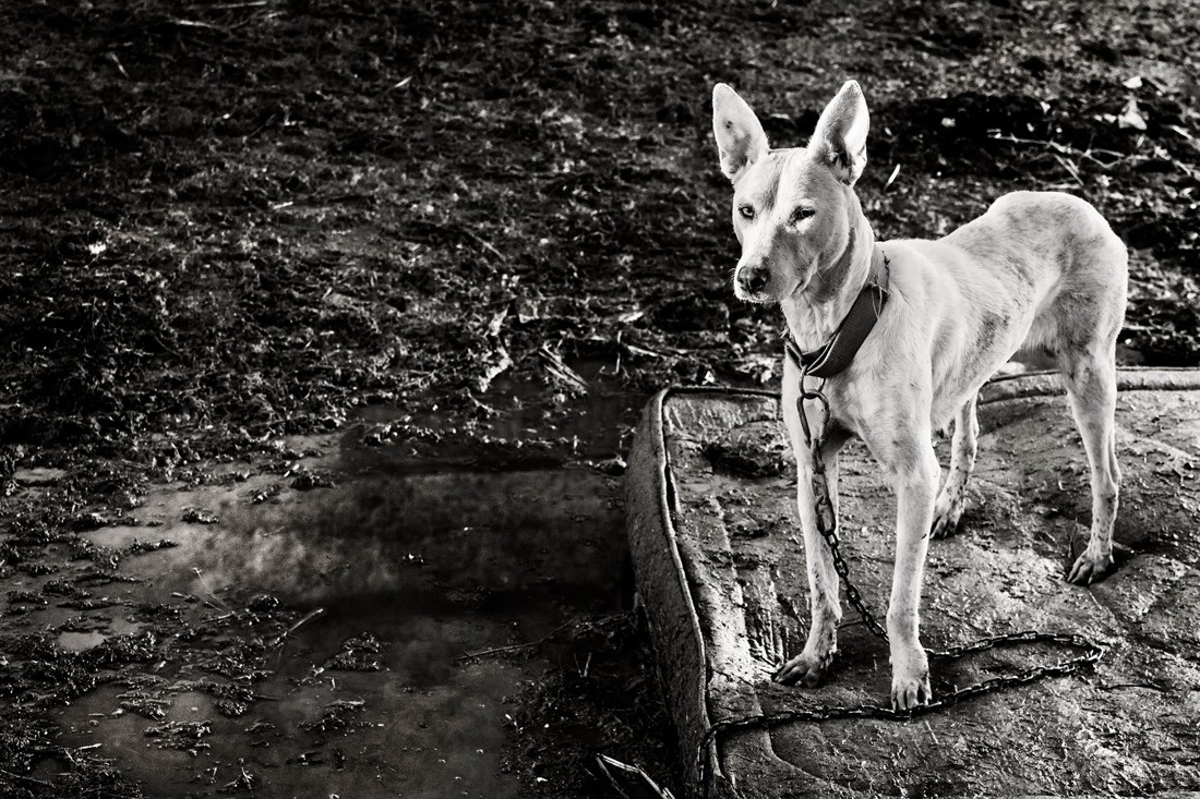 10477874_811980108839239_5353075471992110682_o