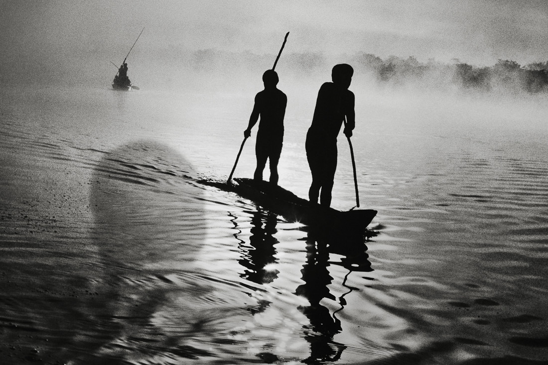 Exposición Salgado Salón 29