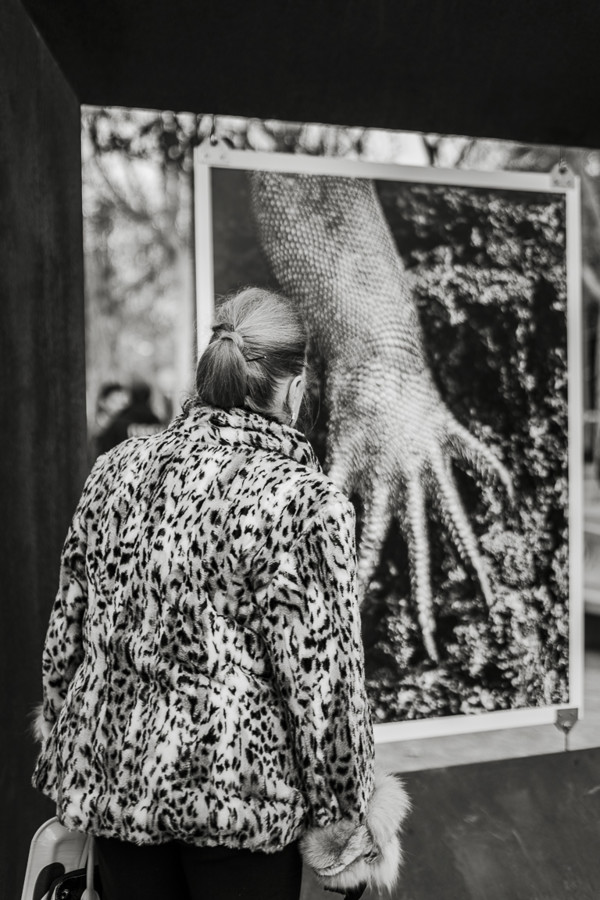 Exposición Salgado Salón 58