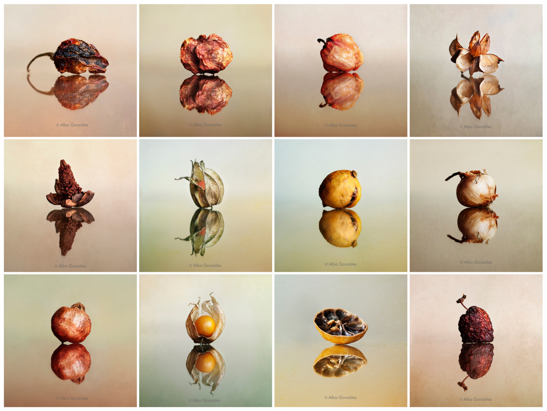 Hoja de contacto-001