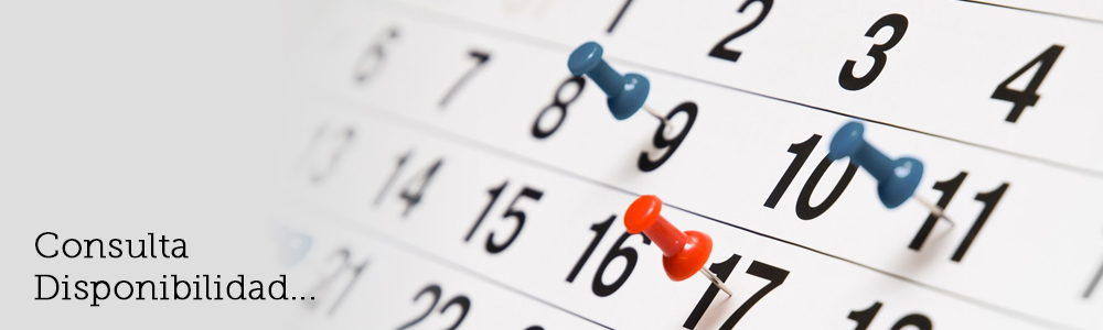 Consulta nuestra disponibilidad para la fecha de tu boda