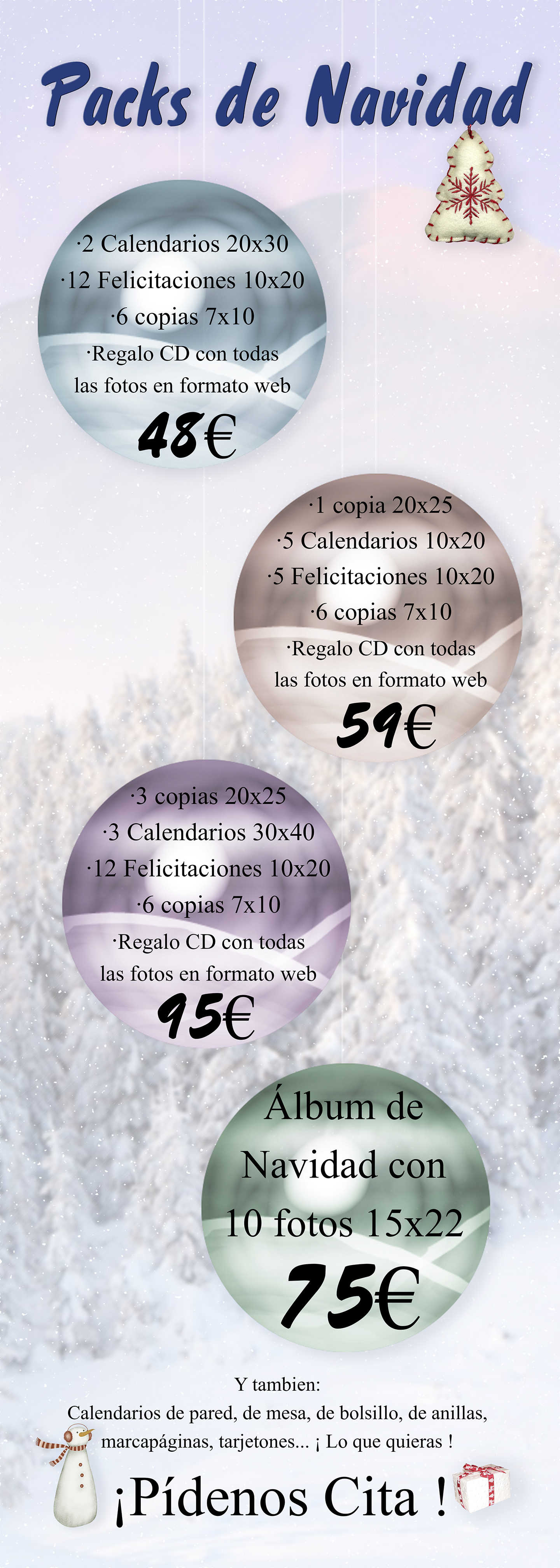 Promoción sesiones nevidad Cartel Ofertas Packs Navidad 2014 Estudio