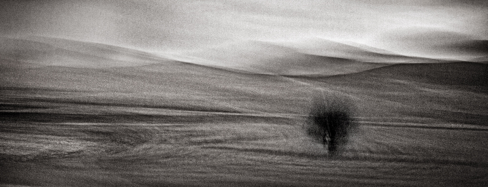 José María Márquez. Fotógrafo de Granada.  - paisaje-con-arbol-19x43.jpg