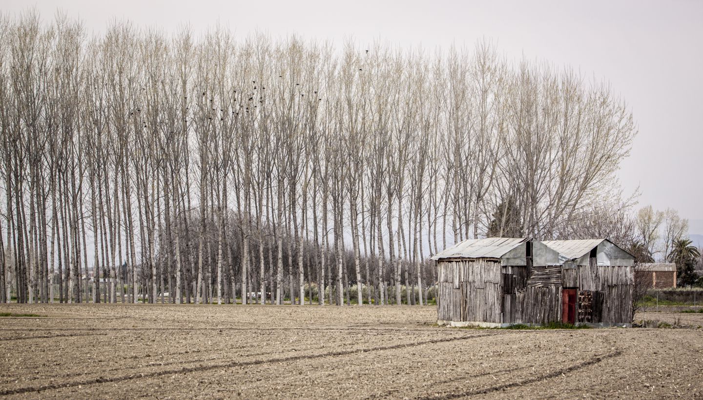 Fotografía Ganadora del Tercer Premio ConCurso ComPhoto 2015 apartado Avanzado